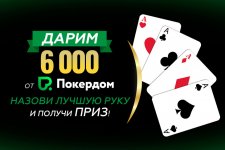 730x4876000 from pokerdom