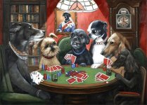 Dogs 5 card